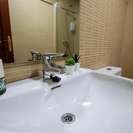 Apartment Dona Concha Alameda